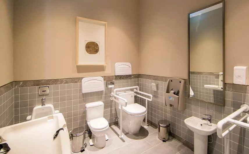 李金早谈“厕所革命”：小空间展示大文明